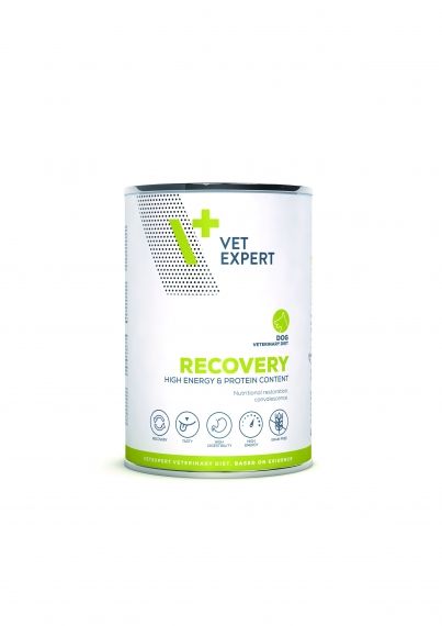 4T Recovery Dog can 400gr.