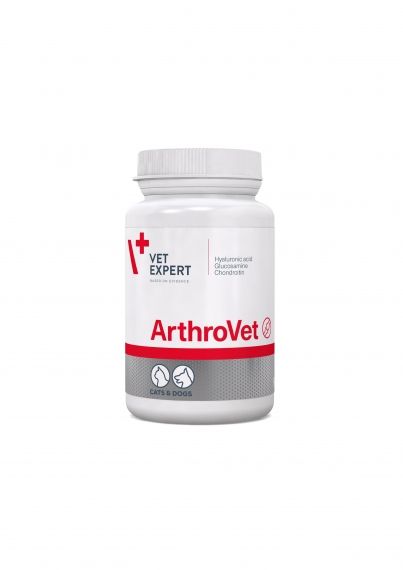 ArthroVet 60