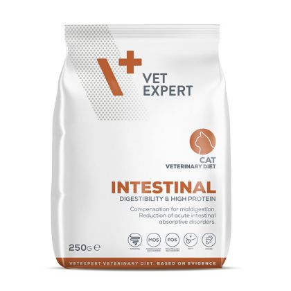 VetExpert Veterinary Diet Intestinal cat 250 g
