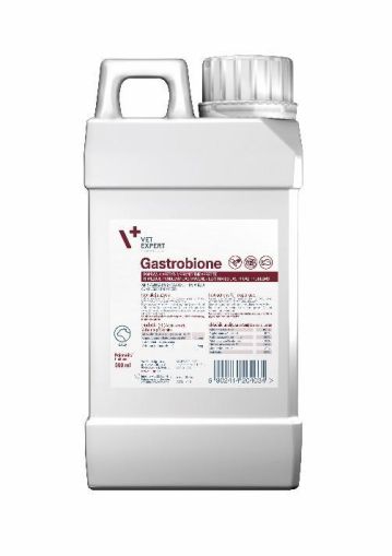 Vet Expert Gastrobione 500ml - за намаляване киселинността на стомашно-чревния тракт