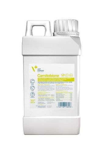Vet Expert Carnitobione 500ml -  стимулира метаболизма на мазнините в организма, предназначени за крави след кетоза и за телета, хранени с прекалено мазно мляко