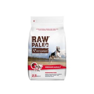 Raw Paleo Adult Medium Beef 