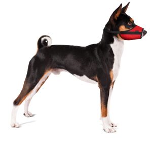 Grande Finale KA/WET - Намордник за куче със средно дълга муцуна