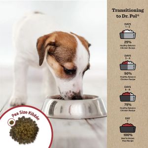 Dr. Pol Healthy Balance Grain Free Salmon Dog
